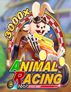 เฮีย หมู บา คา ร่าเกม ไพ่ ออนไลน์: เกมที่คุณต้องลอง